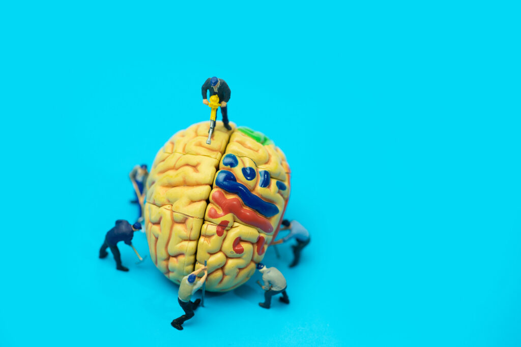 Brain model being repaired to illustrate how a concussion may qualify as a traumatic brain injury under Texas injury law