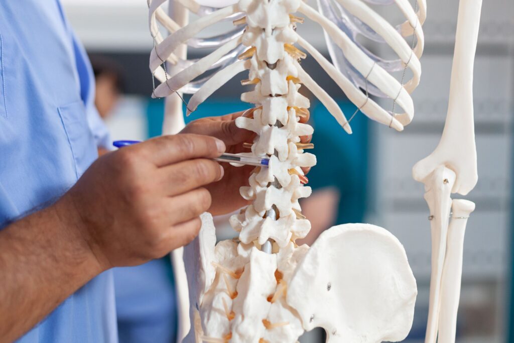 Close-up of a doctor pointing with a pen to the lower vertebrae on a skeletal model, illustrating Spinal Cord Injury Claims in Texas & Compensation.