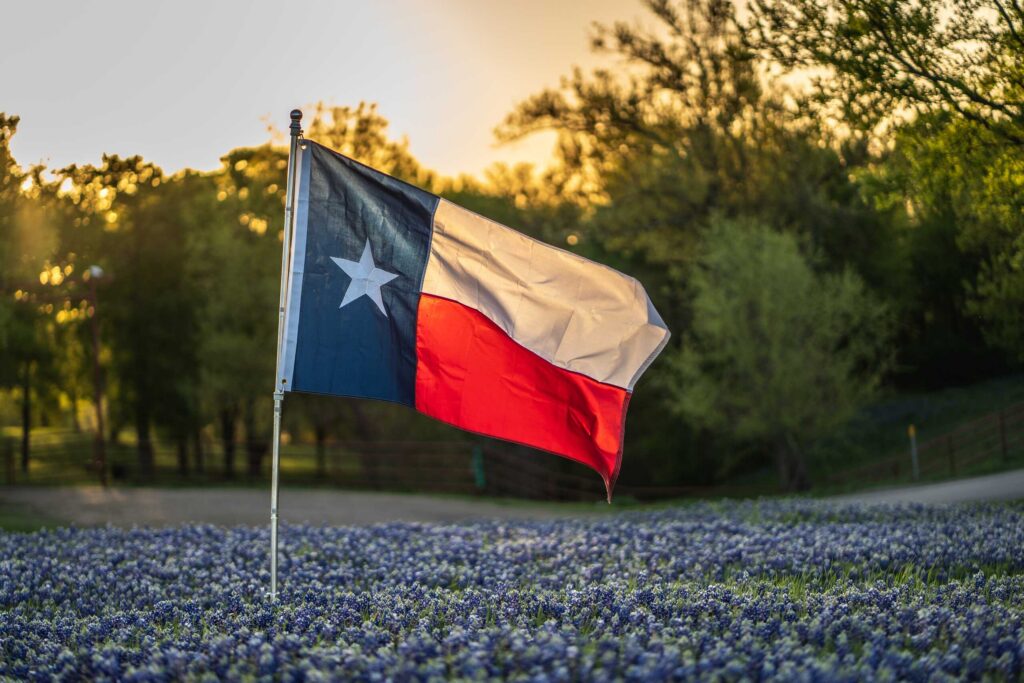 A Texas state flag waving in a field of bluebonnets represents statewide representation by Texas Truck Accident Lawyers.